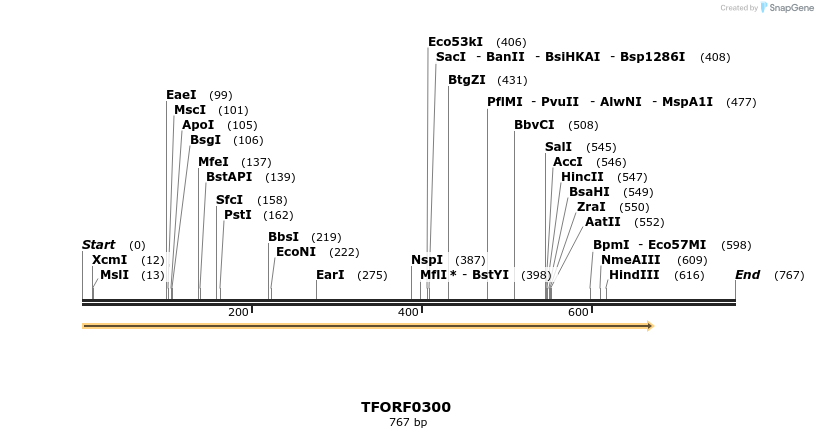 276841_map