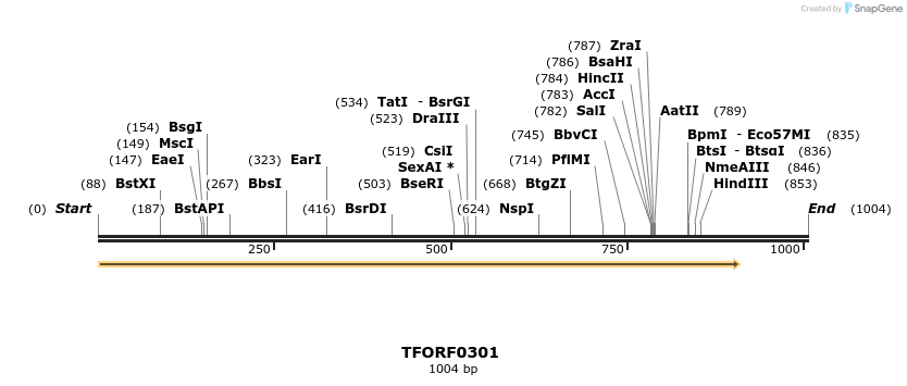 276844_map