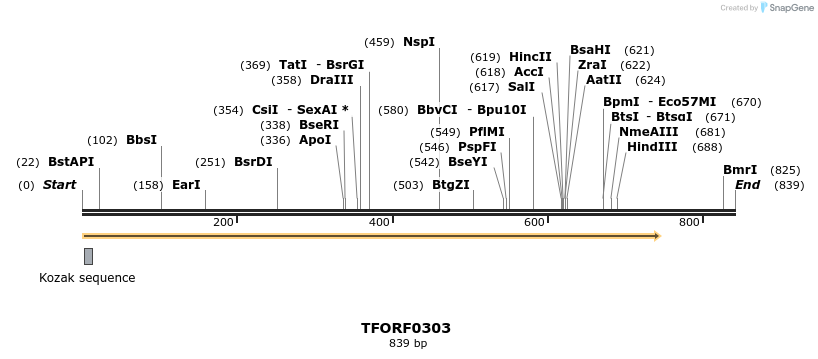 276850_map