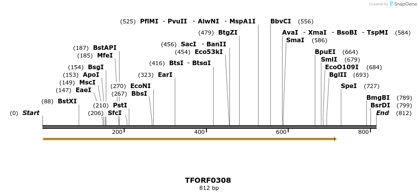 276859_map