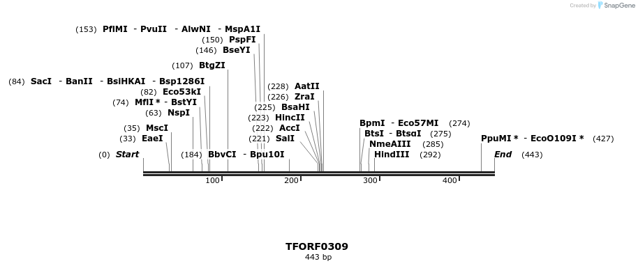 276862_map