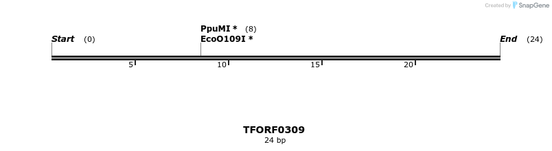 276863_map