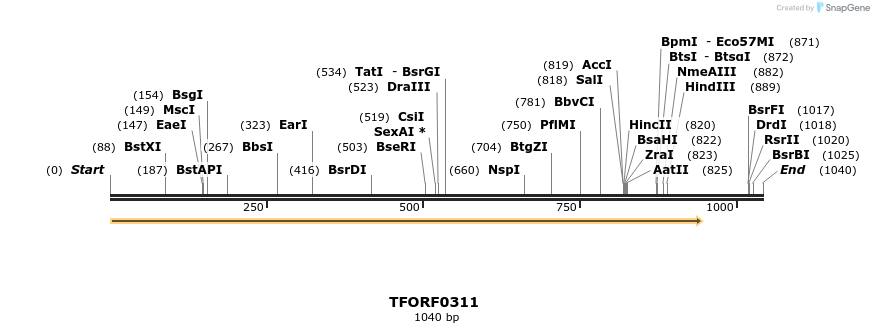 276865_map