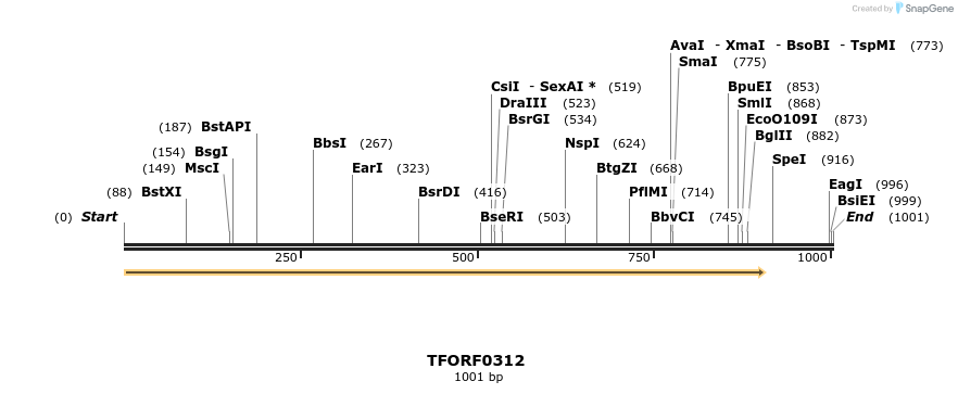 276868_map