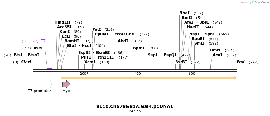 27687_map