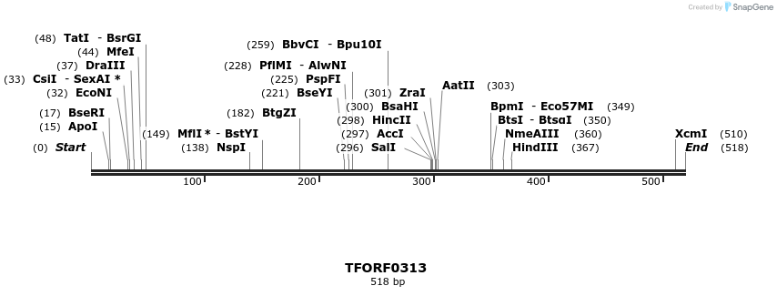 276871_map