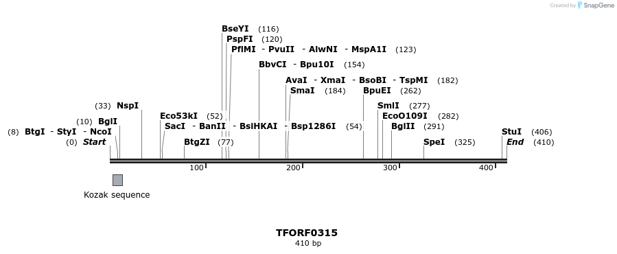 276877_map