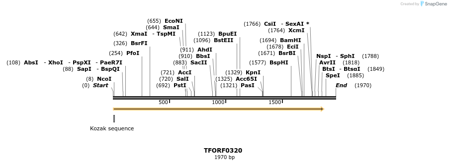 276883_map