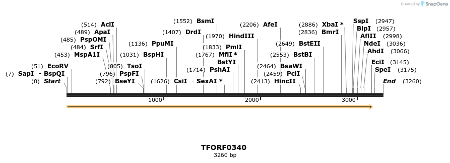 276886_map