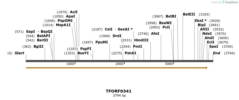 276889_map