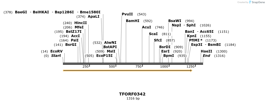 276892_map