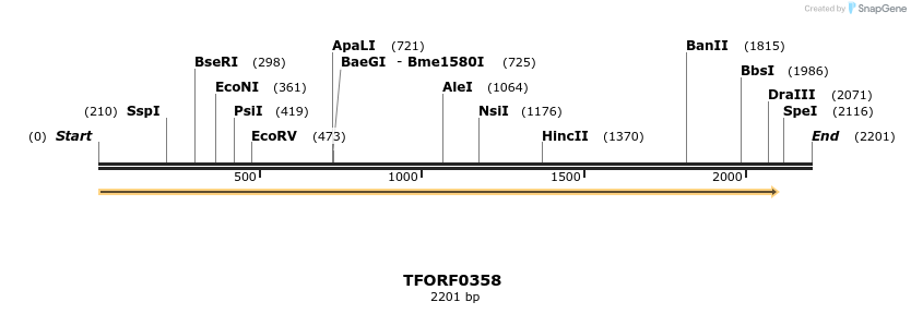 276901_map