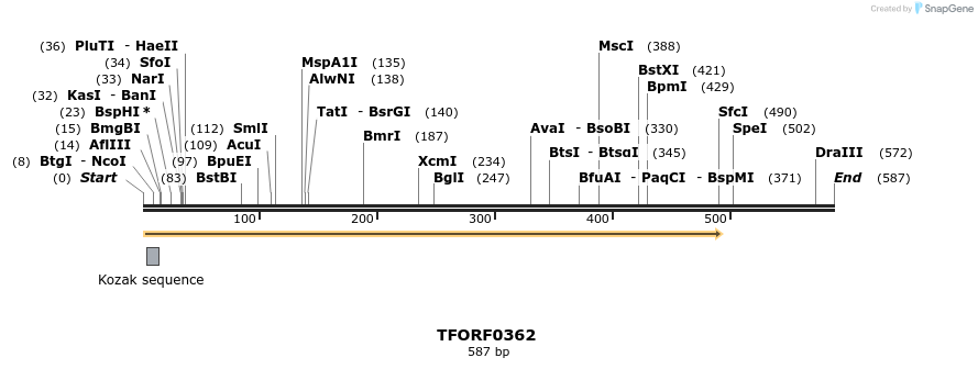 276904_map