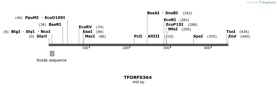 276907_map