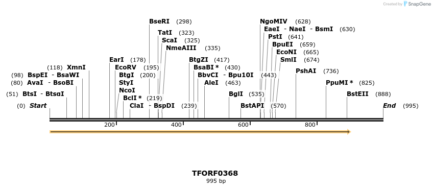 276910_map