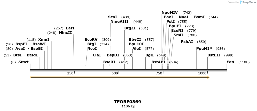 276913_map