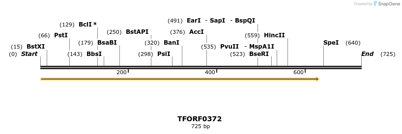 276916_map