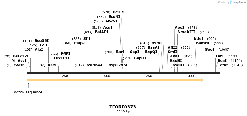 276919_map