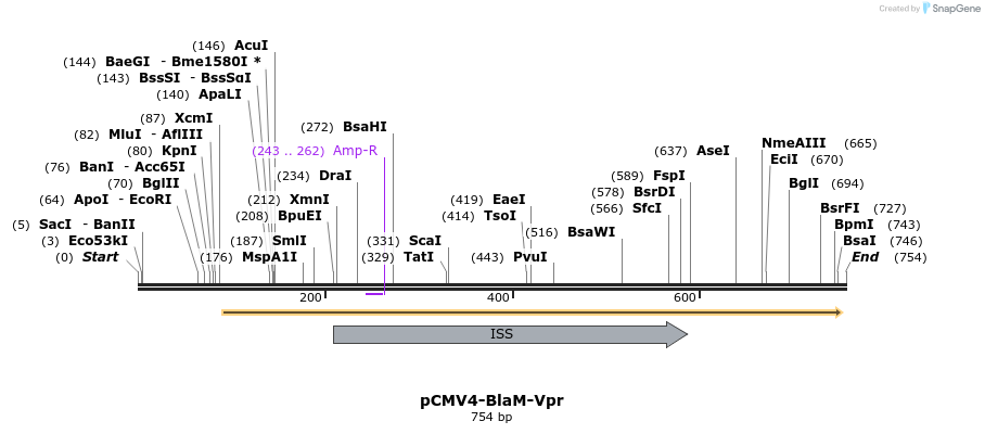 27692_map