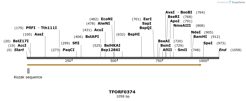 276922_map