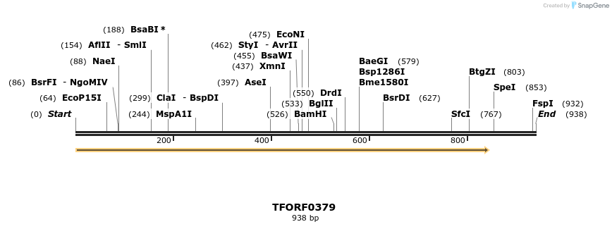 276928_map