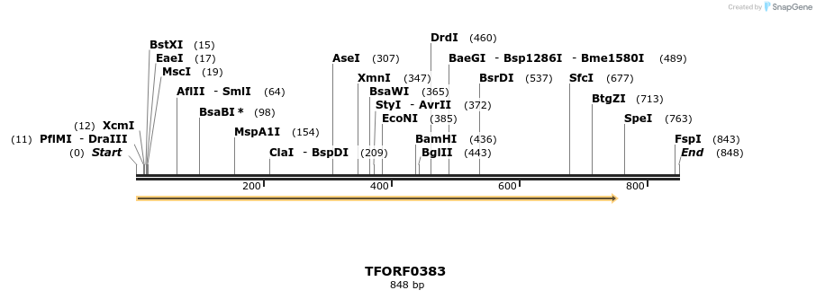 276931_map