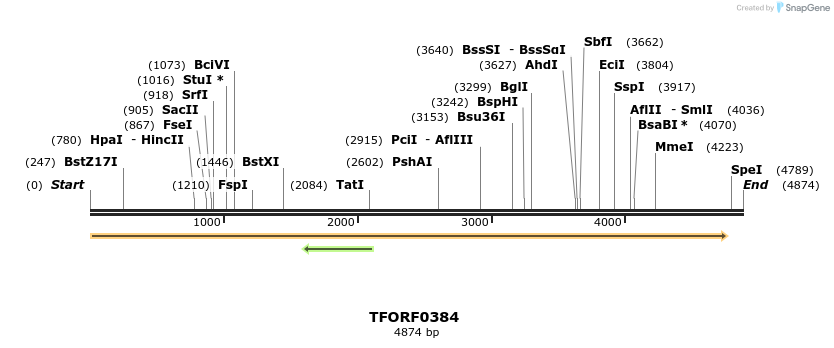 276934_map