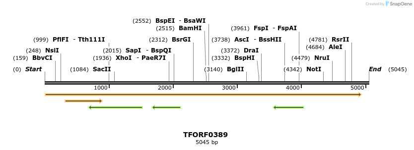 276937_map