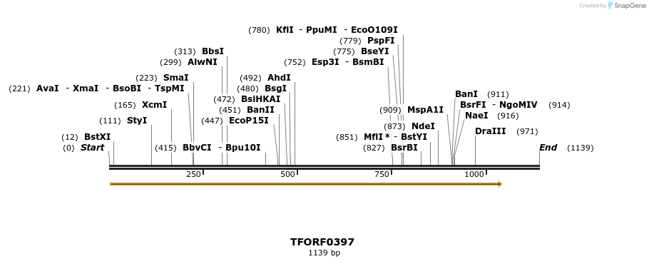 276946_map