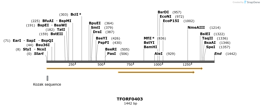 276952_map