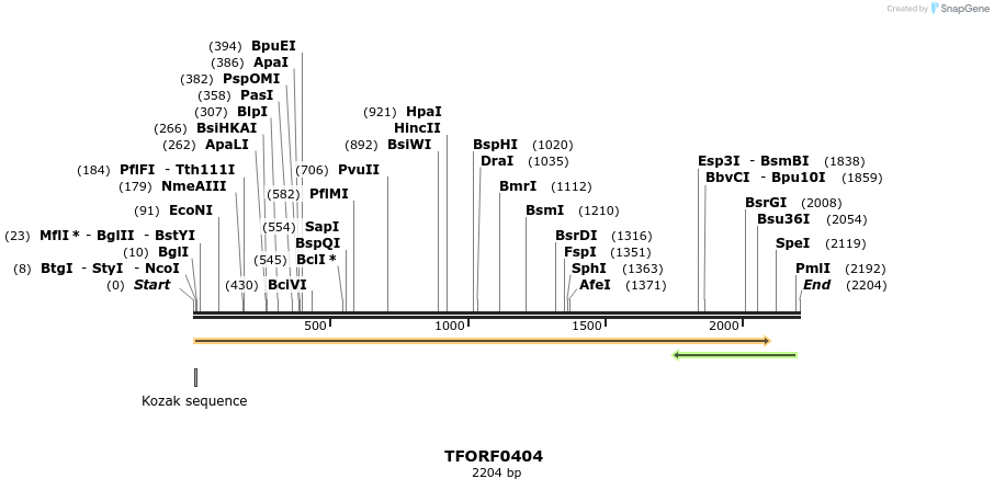 276955_map