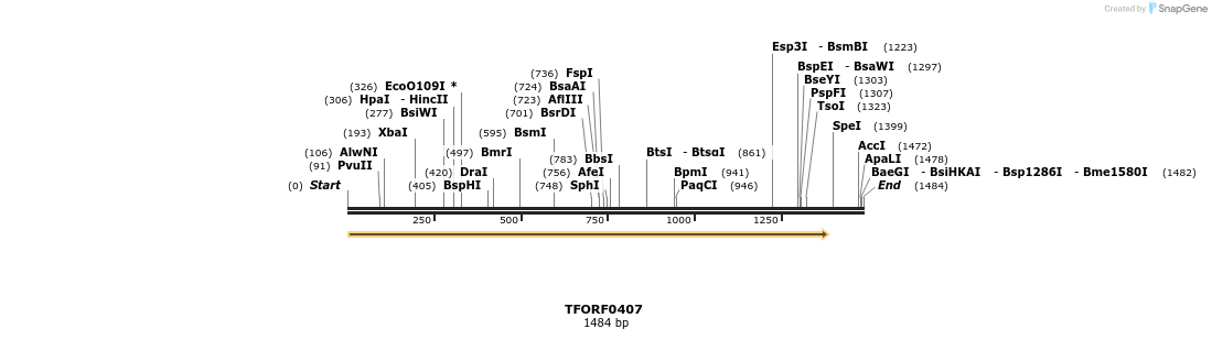 276958_map