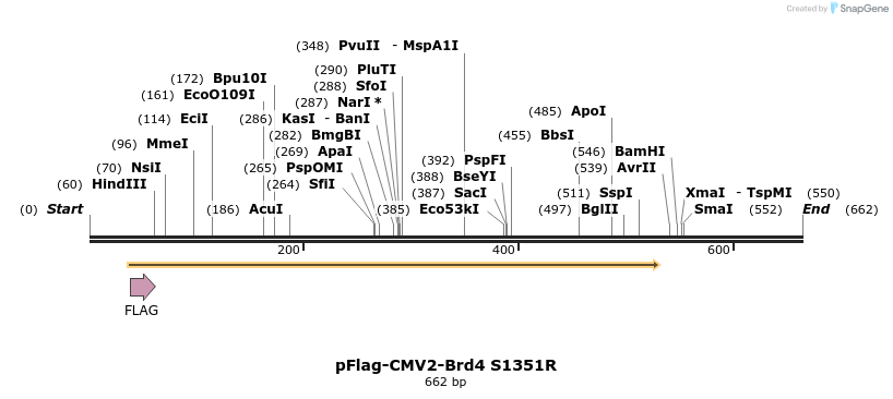27696_map