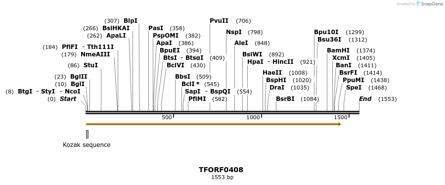 276961_map