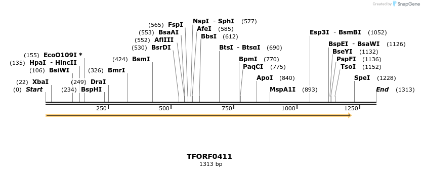 276964_map