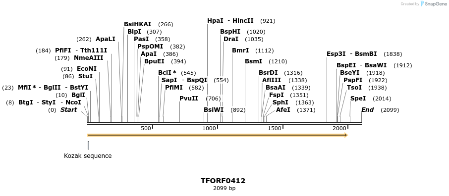 276967_map
