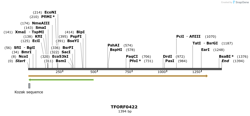 276979_map