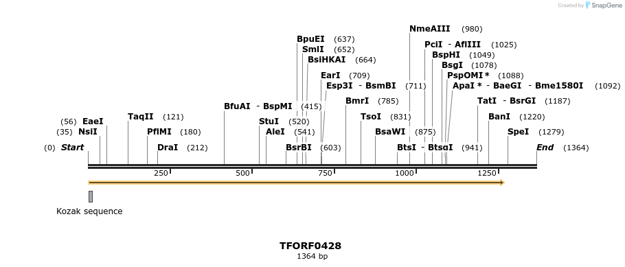 276982_map