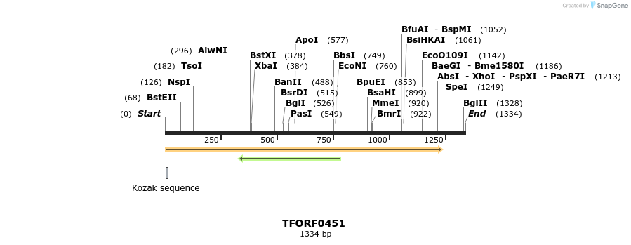 276985_map