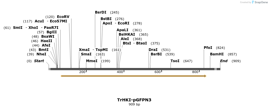 27699_map