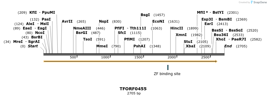 276991_map