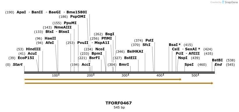 276994_map