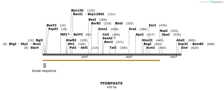 276997_map