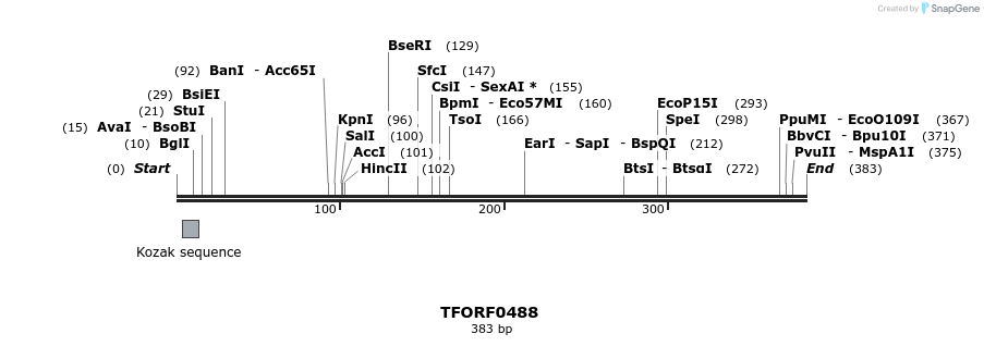 277003_map