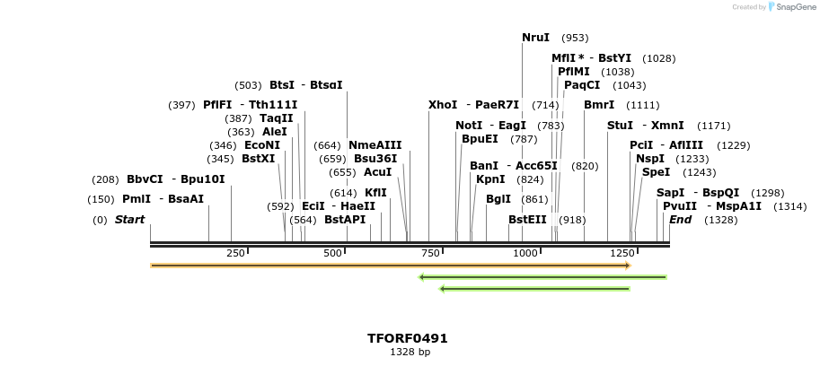 277006_map