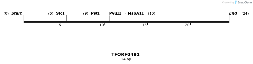 277007_map