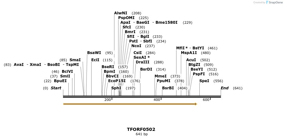 277009_map