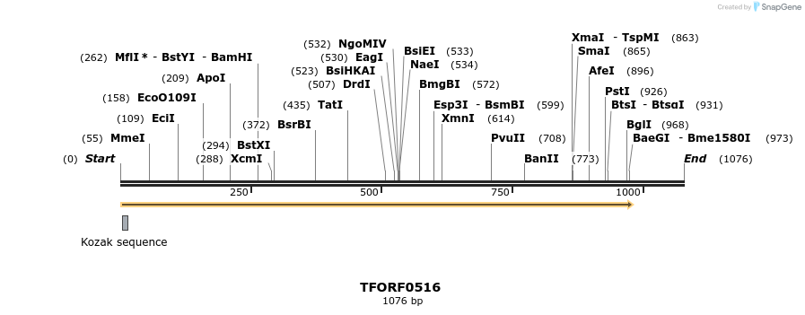 277015_map