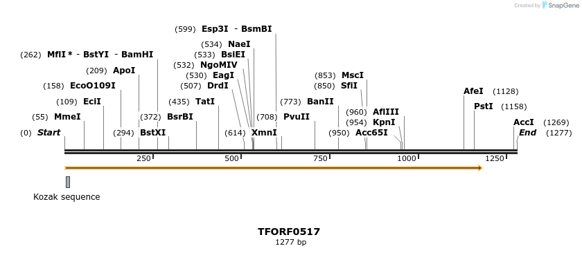 277018_map
