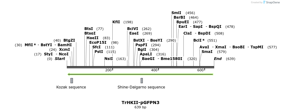 27702_map